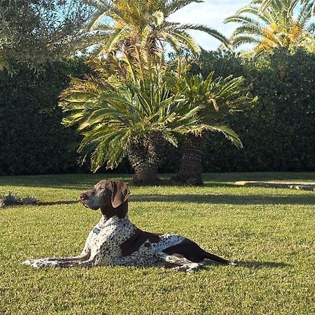 La Calma Espectacular Villa Con Jardin Y Piscina En Menorca S'Algar Kültér fotó